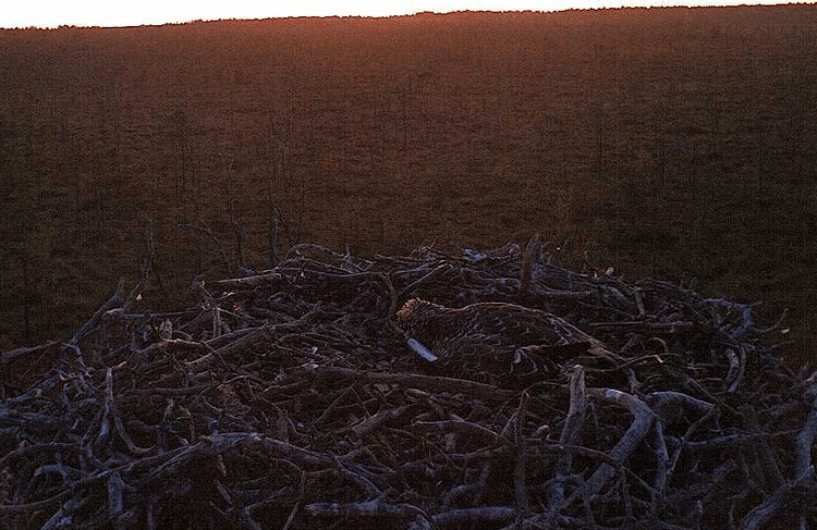 2009-08-05_220410.gif