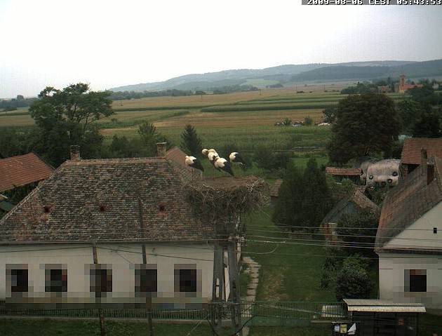 2009-08-06_054152.jpg