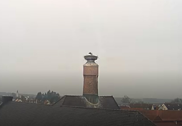 2025-03-26_075526.jpg