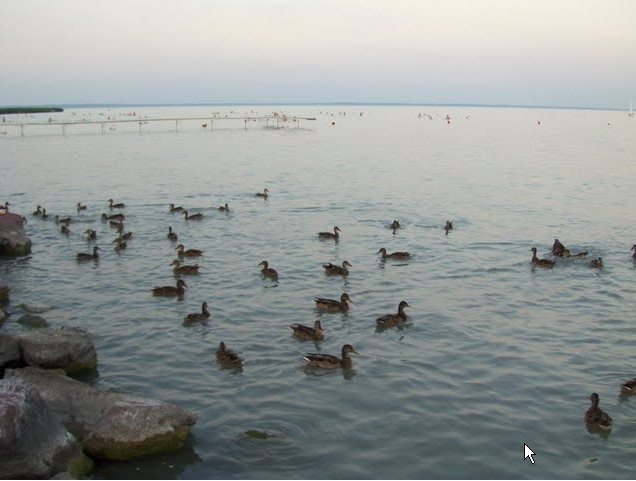 2009-08-06_143614.jpg