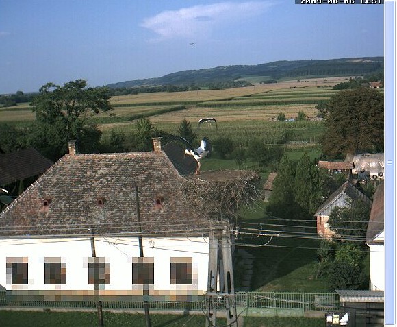 2009-08-06_174855.jpg