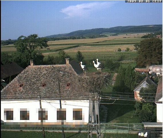 2009-08-06_174835.jpg
