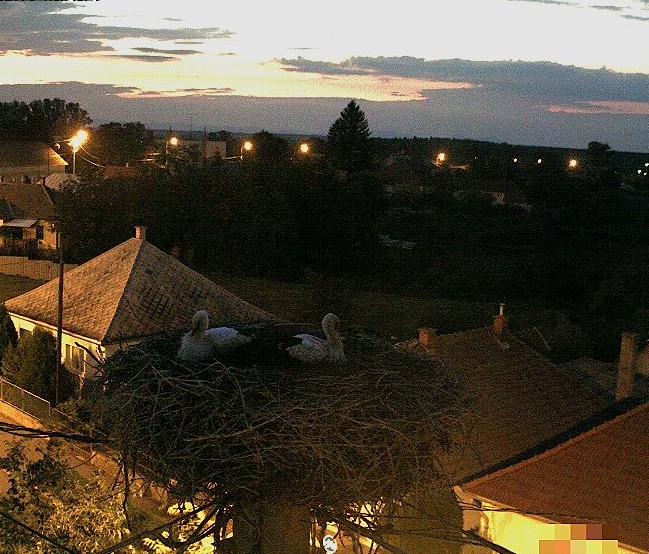 2009-08-06_204408.jpg