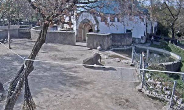 2025-04-05_095247.jpg