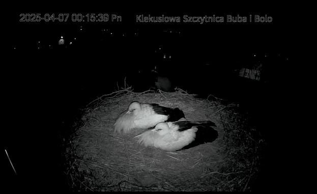2025-04-07_001644.jpg