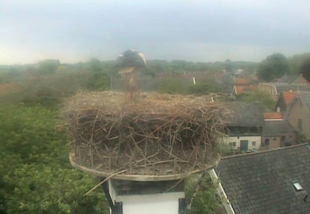 2025-05-03_201256.jpg