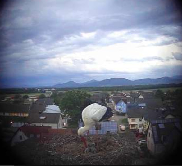 2025-05-03_205414.jpg