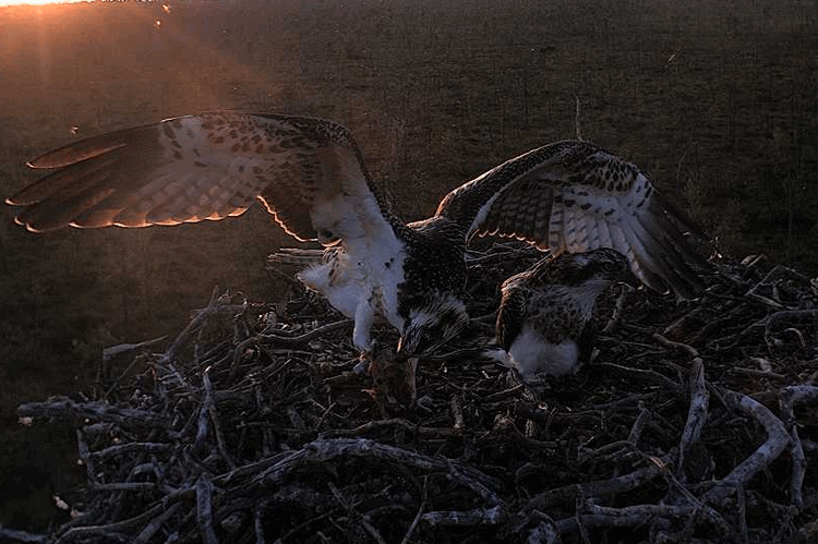 2009-08-07_203003.gif
