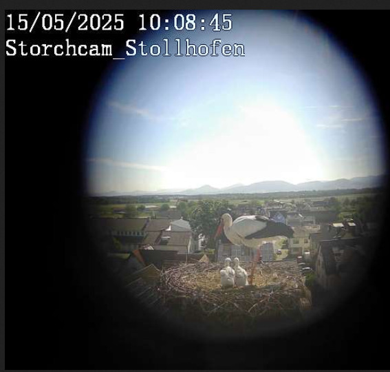 2025-05-15_100859.jpg