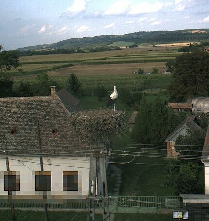2009-08-08_174341.jpg