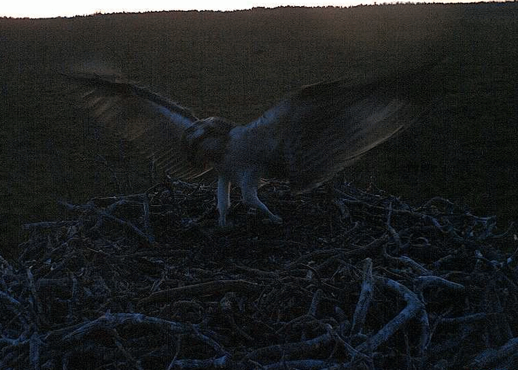 2009-08-08_215351.gif