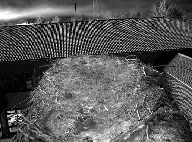 2009-08-08_220855.gif