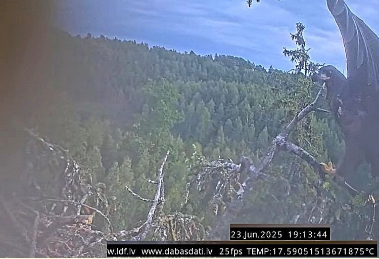 2025-06-24_011111.jpg