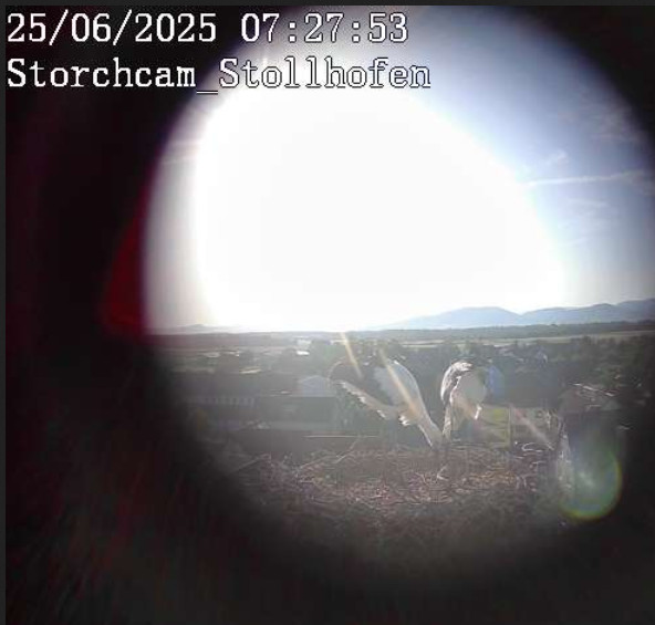 2025-06-25_072800.jpg