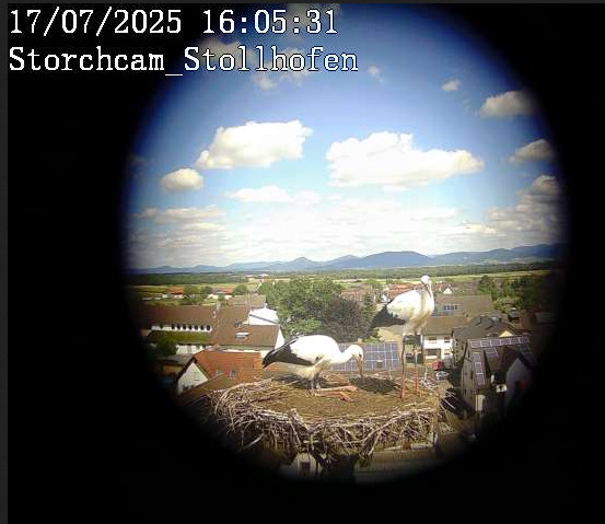 2025-07-17_160537.jpg