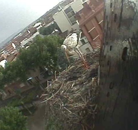 2009-08-10_195427.jpg