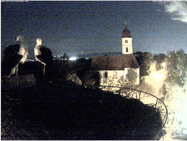 2025-08-06_001357.jpg