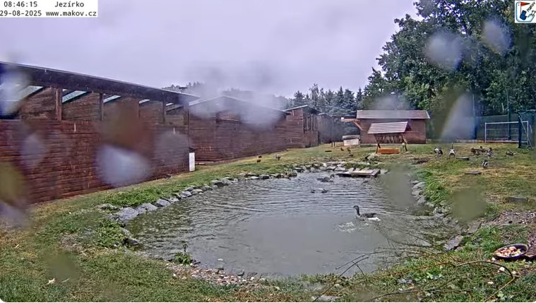 2025-08-29_104004.jpg