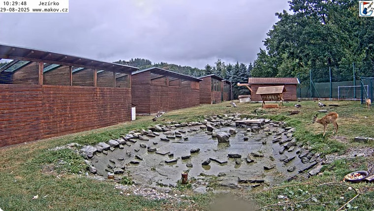 2025-08-29_110143.jpg