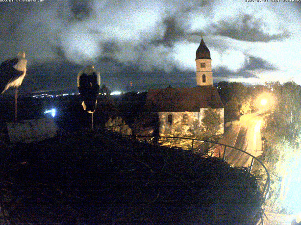 2025-09-21_231147.jpg