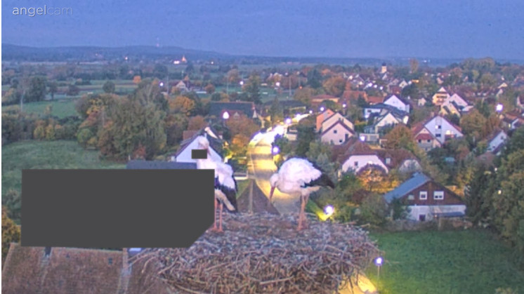 2025-10-20_070901.jpg