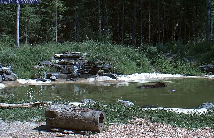 2009-08-12_211647.jpg