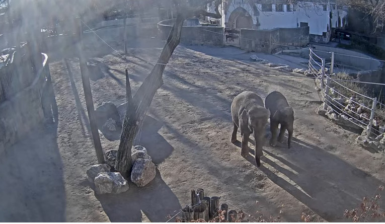 2025-12-29_093241.jpg