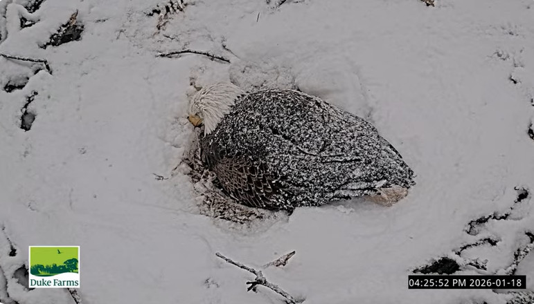2026-01-18_234842.jpg
