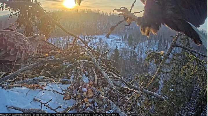 2026-01-20_012259.jpg