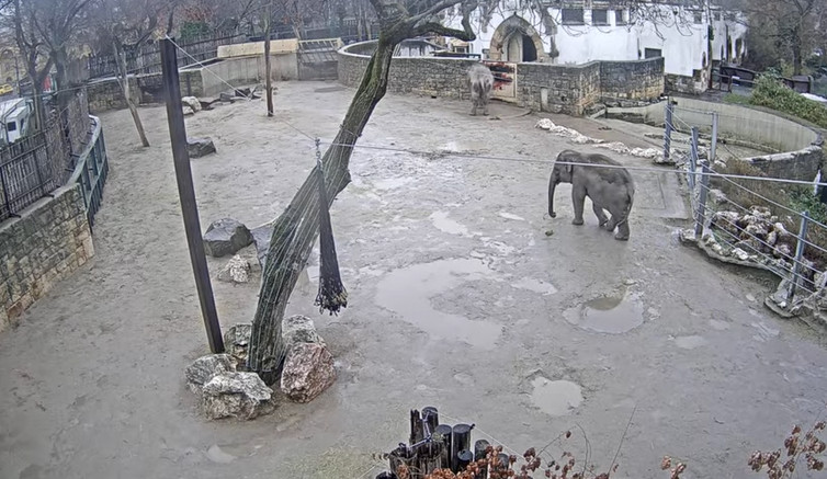 2026-01-29_110951.jpg