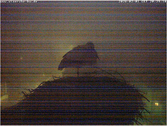 2026-02-01_225703.jpg
