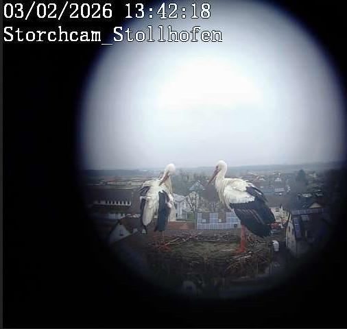 2026-02-03_124224.jpg