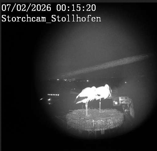 2026-02-06_231526.jpg