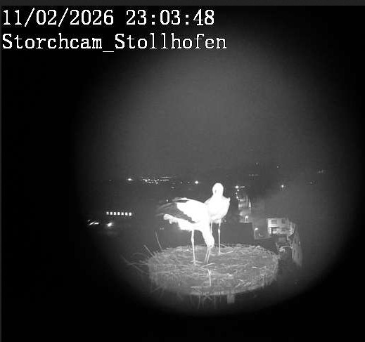 2026-02-11_220358.jpg
