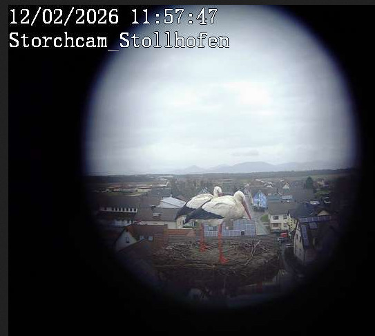 2026-02-12_105752.jpg