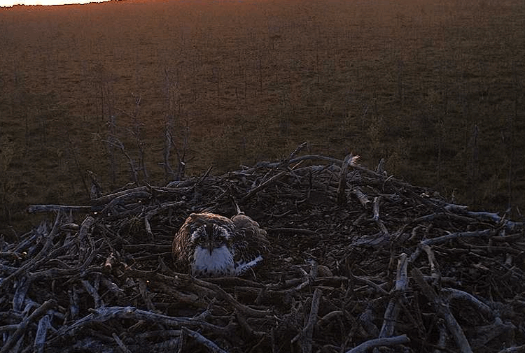 2009-08-13_210536.gif