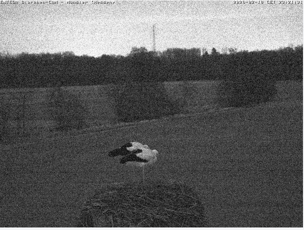 2026-02-18_232220.jpg