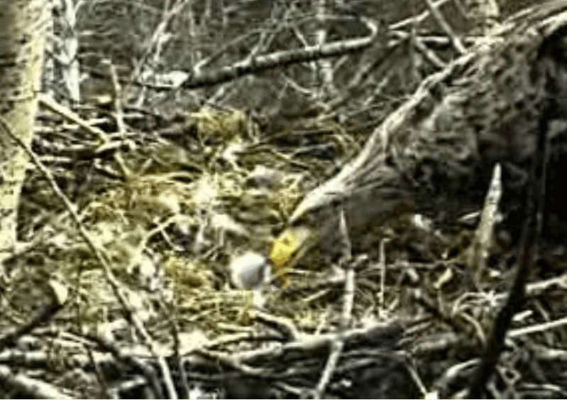 2009-04-17_204034.gif