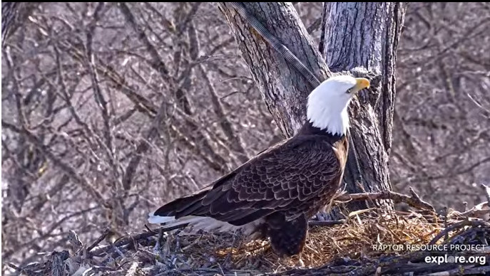 2026-02-26_003609.jpg