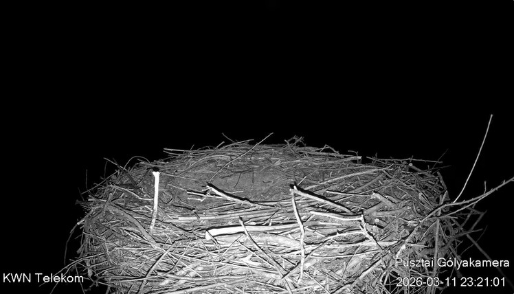 2026-03-12_003828.jpg