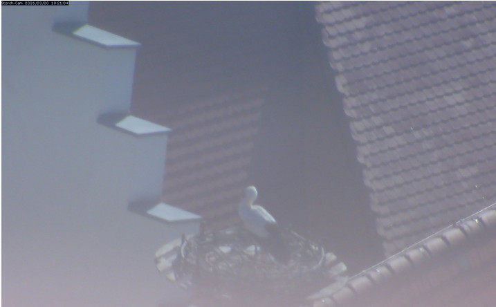 2026-03-20_102317.jpg