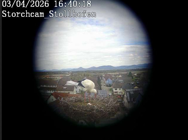 2026-04-03_164024.jpg