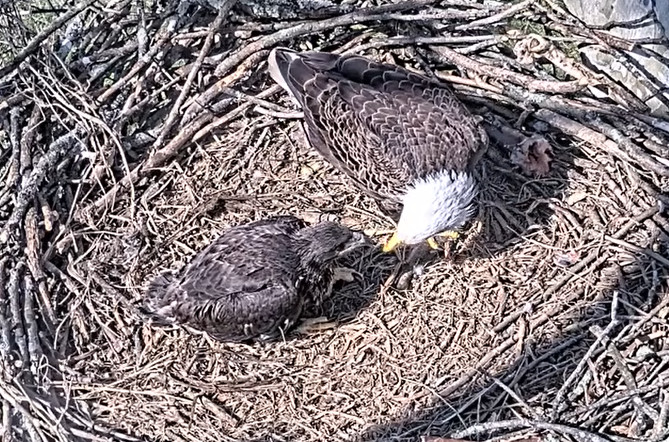 2026-04-09_020235.jpg