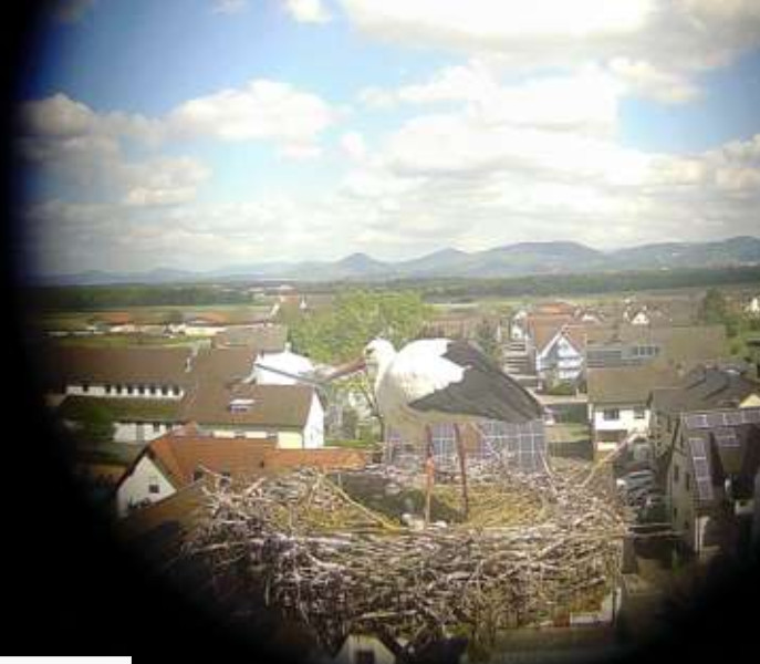 2026-04-19_155927.jpg