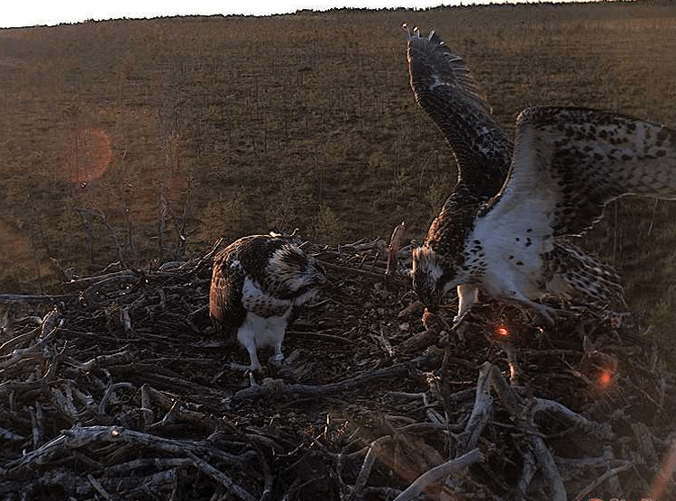 2009-08-14_195400.gif