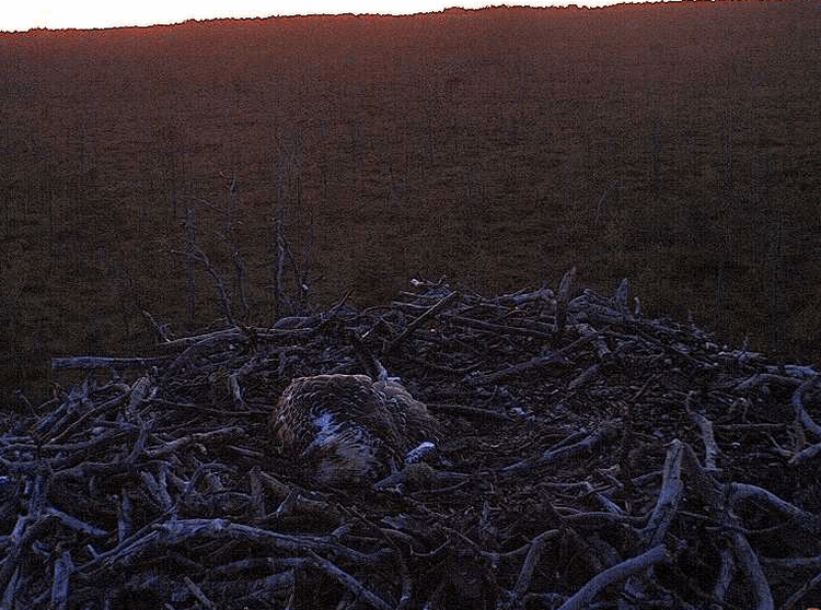 2009-08-14_211547.gif