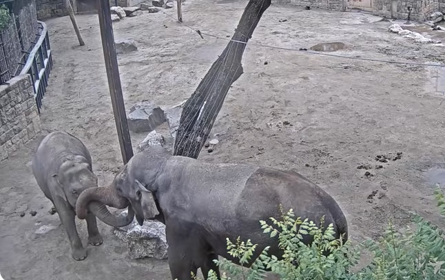 2026-05-18_132211.jpg