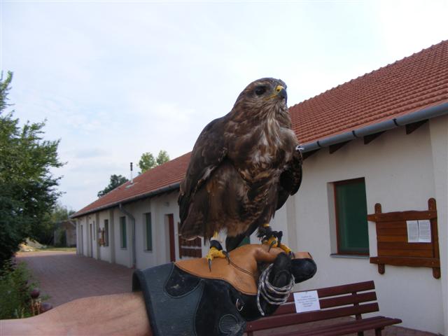 DSCF7361 (Small).JPG