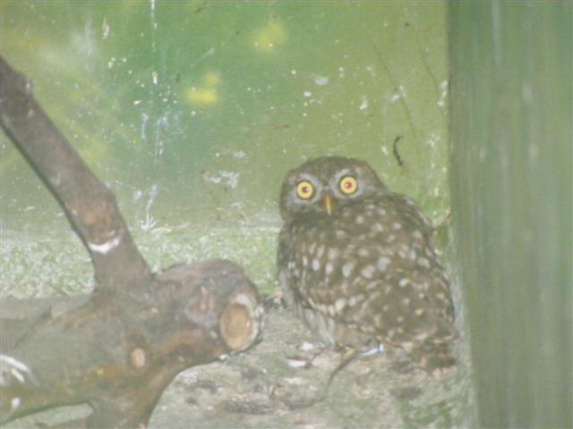 DSCF7386 (Small).JPG