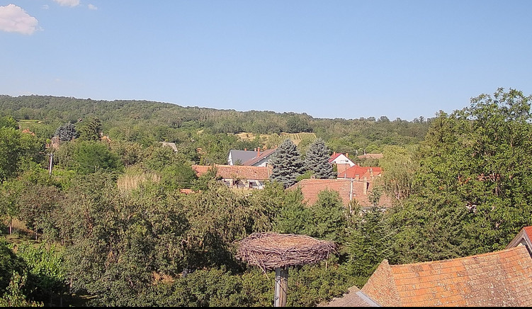 2026-06-26_112753.jpg